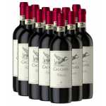 12 Flaschen Chianti DOCG Cacciata Castellani - Vorteilpacket