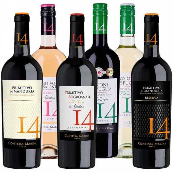Probierpaket Primitivo Salento Apulien 14 auf Rechnung kaufen
