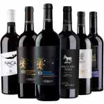 Probiertpaket Primitivo del Salento Apulien San Marzano