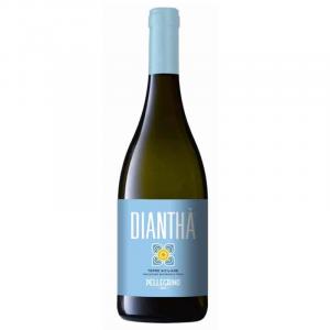 Dianthá Bianco IGT Terre Siciliane Pellegrino Online kaufen