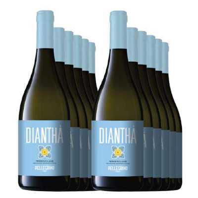 12er Vorteilspaket Dianthá Bianco IGT Terre Siciliane Pellegrino