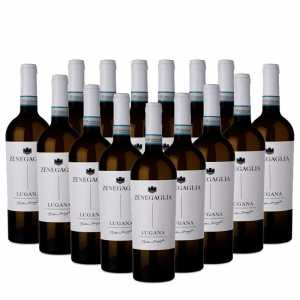 15er Vorteilspaket Lugana Matteo Zenegaglia Online bestellen und günstig kaufen